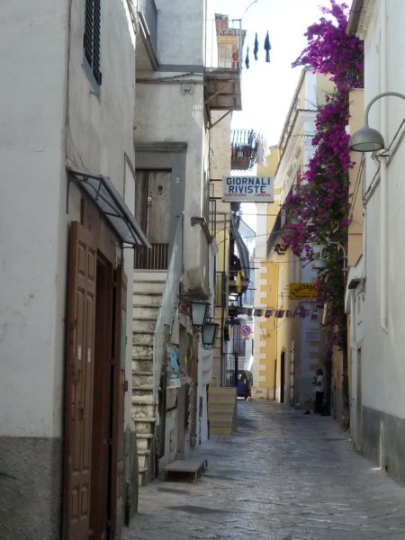 p1050141.jpg