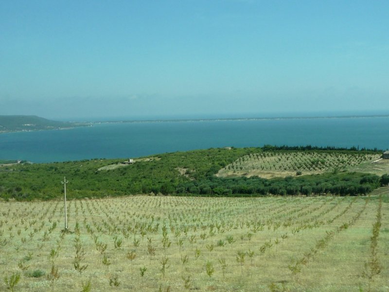 p1050146.jpg
