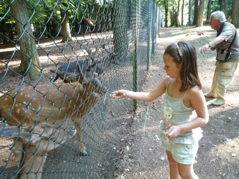 p105071.jpg