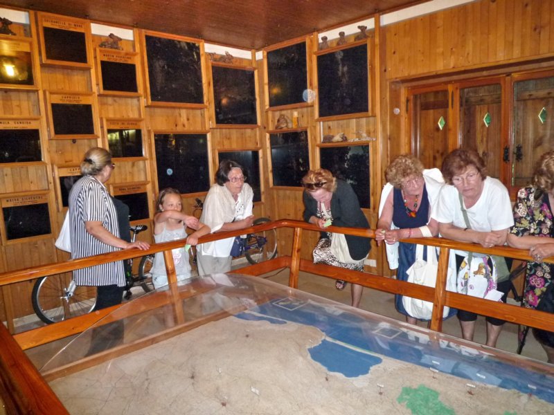 p105074.jpg