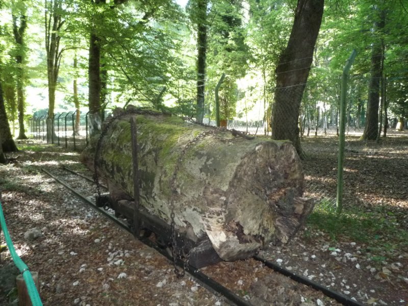 p105081.jpg