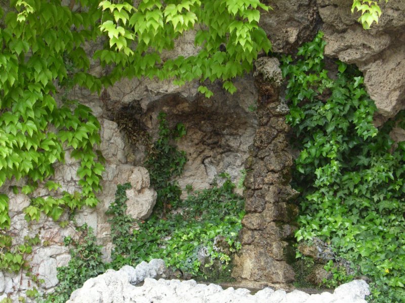 rimg0901.jpg