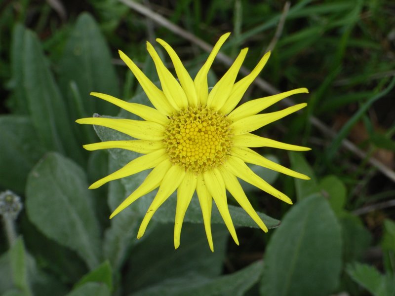 rimg0986.jpg