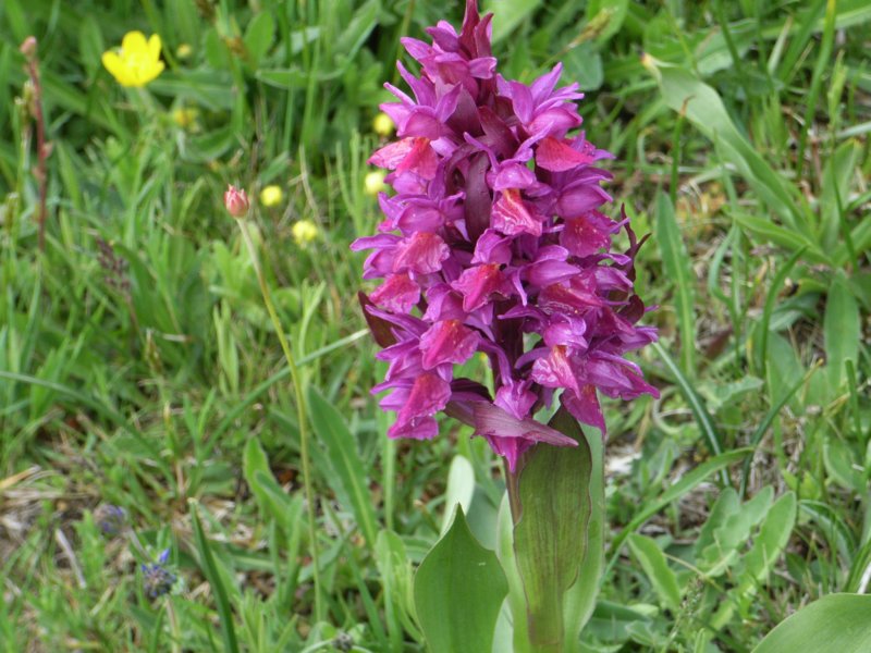 rimg0988.jpg