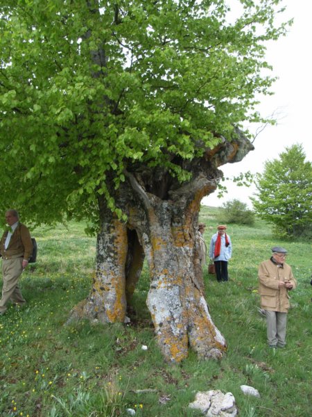 rimg0994.jpg