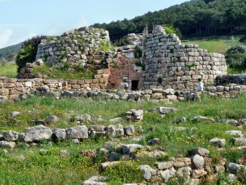 p1020153.jpg