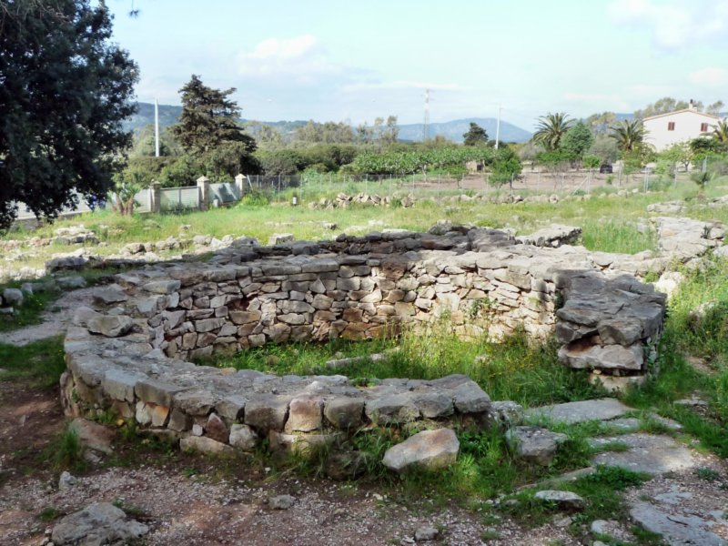 p1020156.jpg