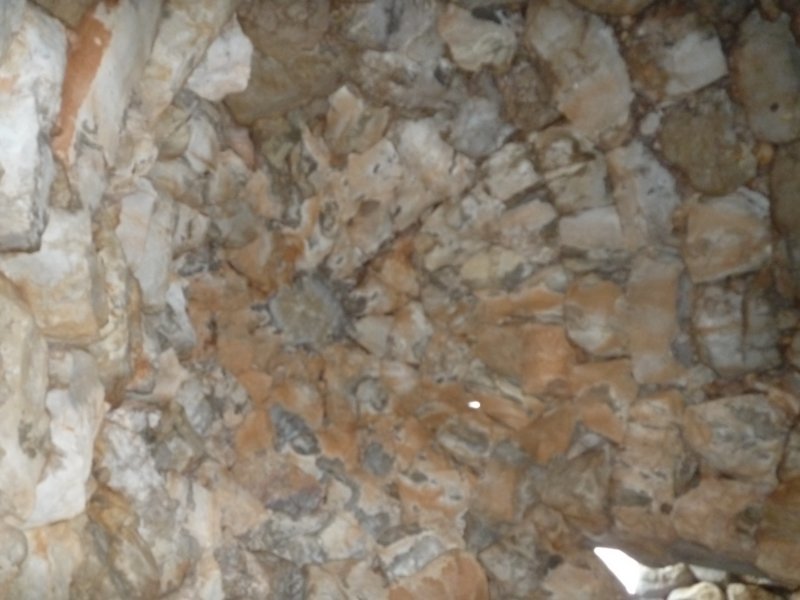 p1020163.jpg