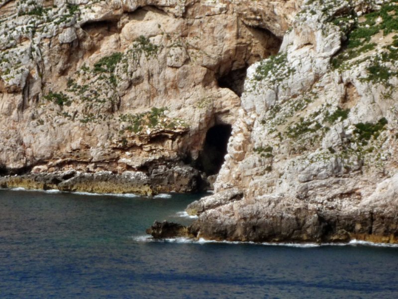 p1020204.jpg