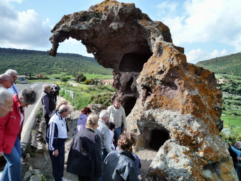 p1020253.jpg