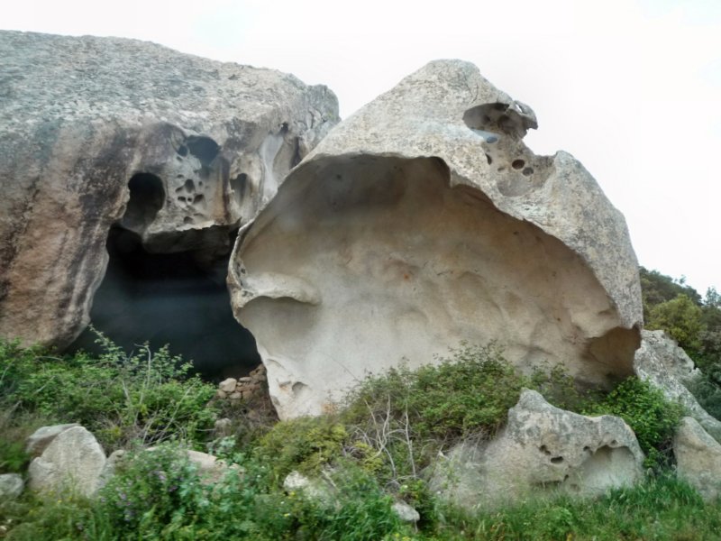 p1020349.jpg