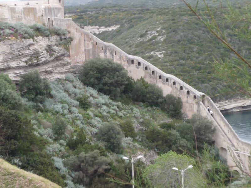 p1020474.jpg