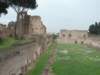 p1020533_small.jpg