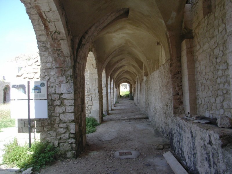 rimg1175.jpg