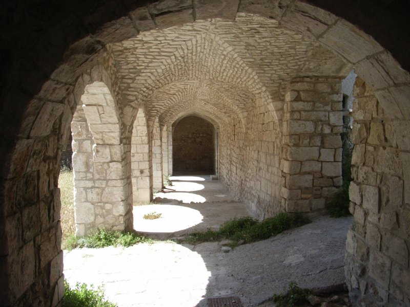 rimg1177.jpg
