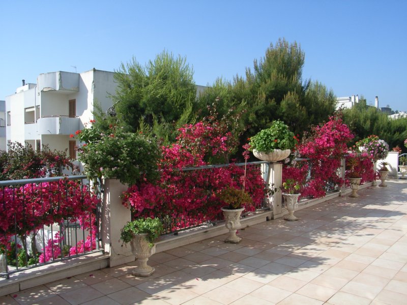rimg1209.jpg