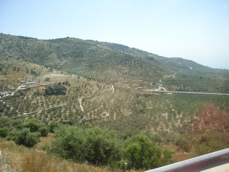 rimg1238.jpg