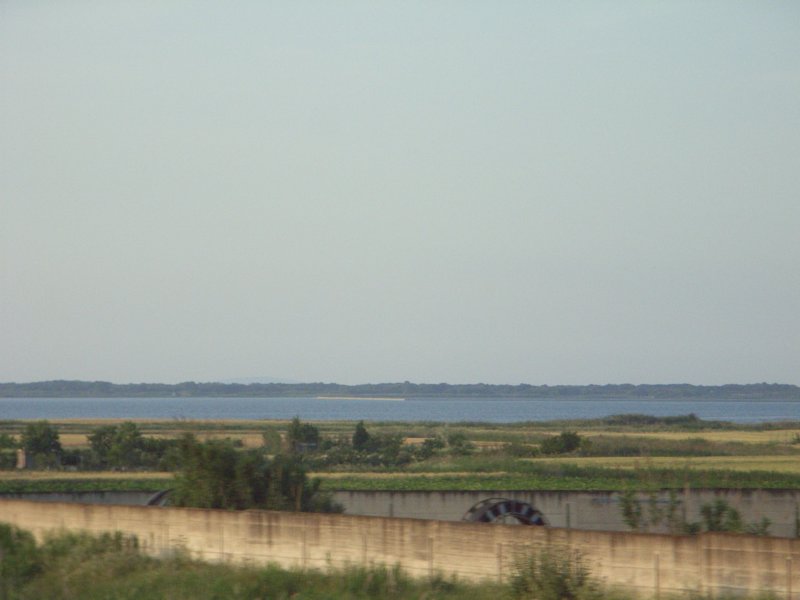 rimg1272.jpg