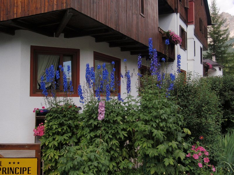 P7170191.JPG