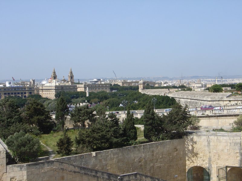 rimg0784.jpg