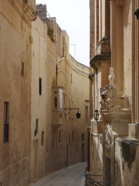 rimg0818.jpg