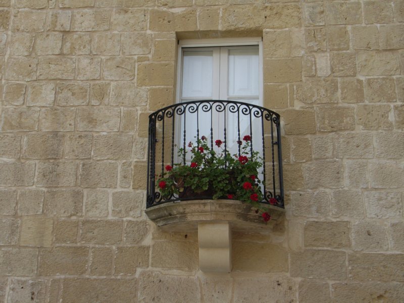 rimg0822.jpg