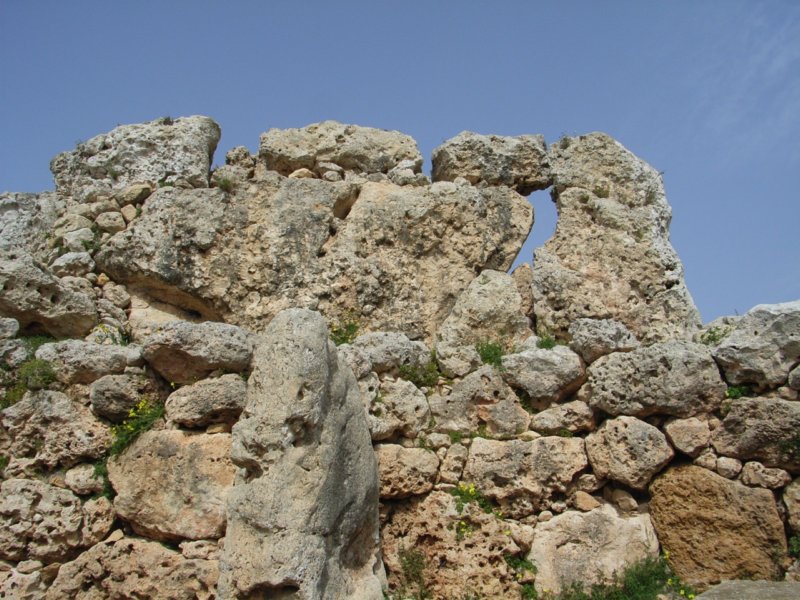 rimg0855.jpg