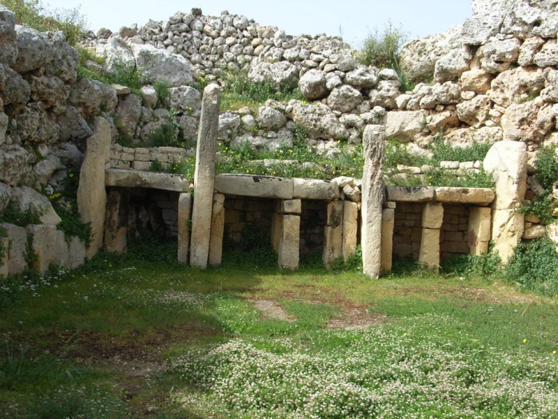 rimg0860.jpg