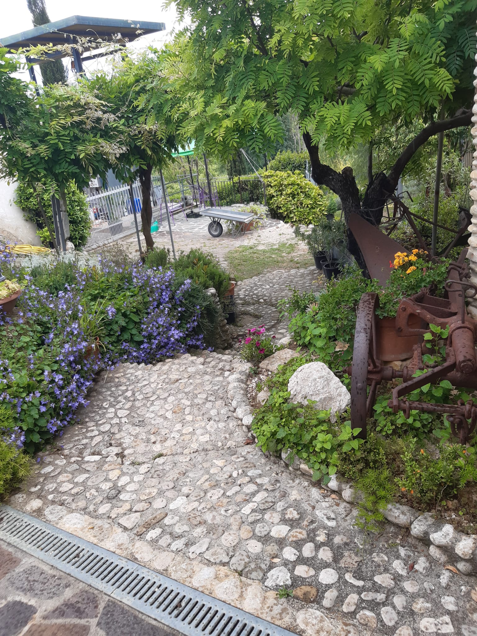 Foto 11