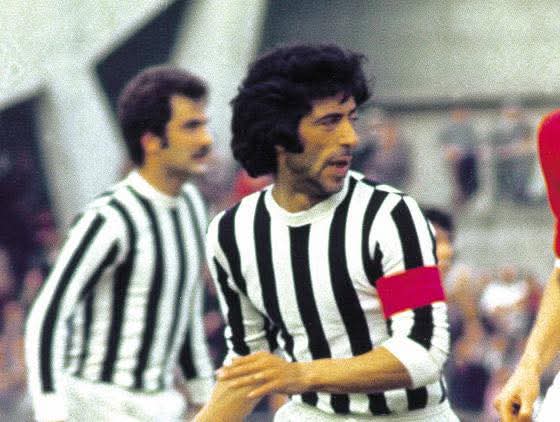 Cal_Campanini_Silva.jpg