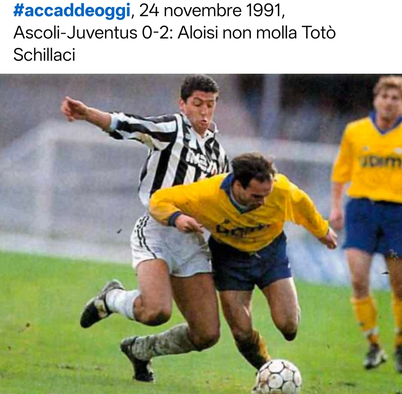 Gio_Cal_Aloisi_231.jpg