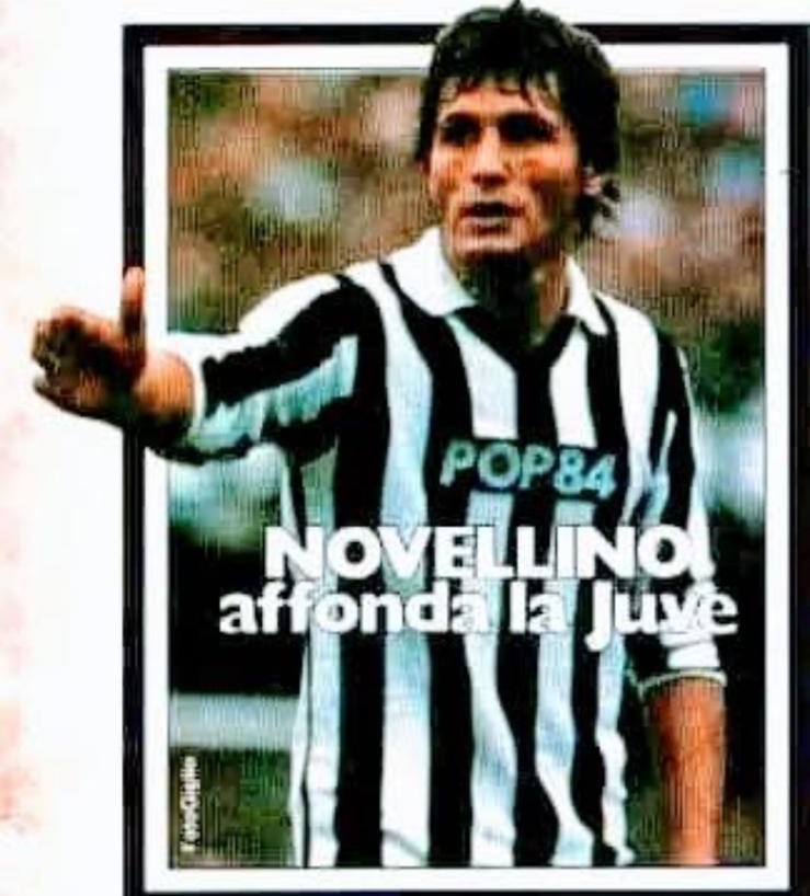 cal_novellino_49.jpg